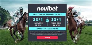 Cross Country Offer: 33/1 on Easysland or Tiger Roll To Win